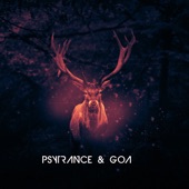 PsyTrance & Goa artwork