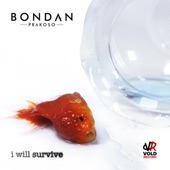 I Will Survive artwork