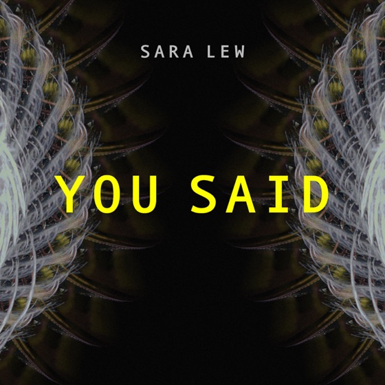 Cover artwork for You Said