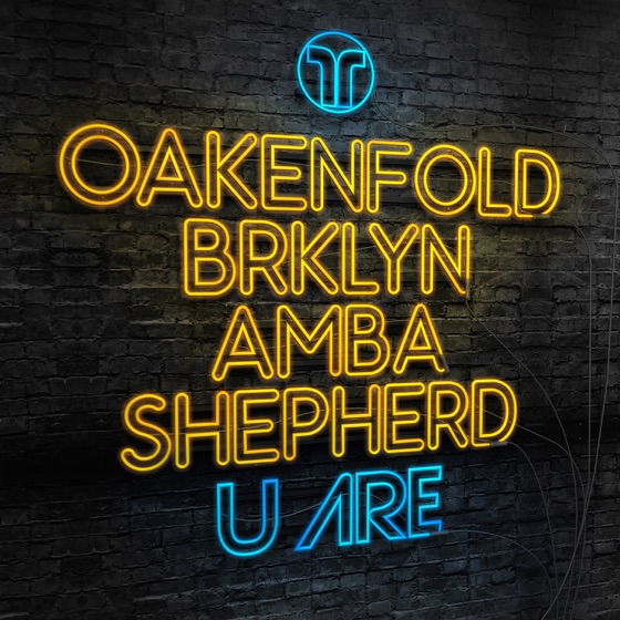 Cover artwork for U Are (feat. BRKLYN & Amba Shepherd)