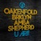 U Are (feat. BRKLYN & Amba Shepherd) - Paul Oakenfold lyrics