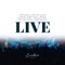 Welche Liebe (Live) artwork