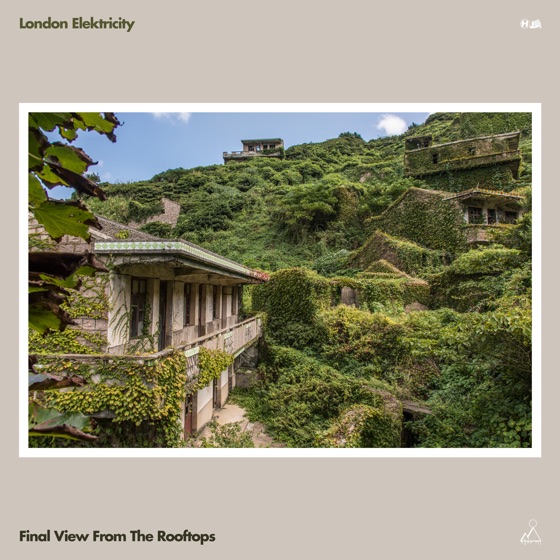 Cover artwork for Final View from the Rooftops (feat. Cydnei B.)