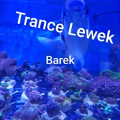 Trance Lewek artwork