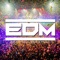 EDM - Anders Nilsen lyrics