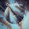 Coco Bayta - Steve Cattani lyrics