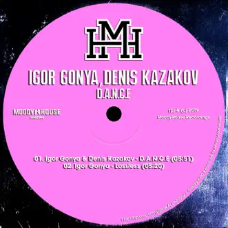 Lossless by Igor Gonya song reviws