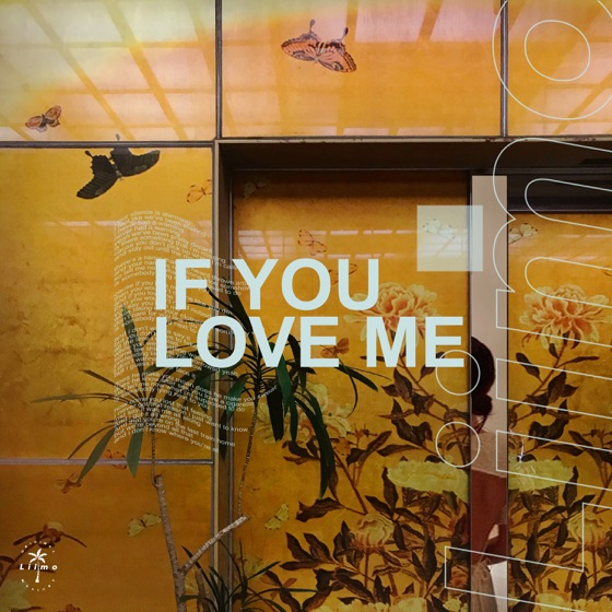 Cover artwork for If You Love Me