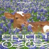 Sunwoo Jung-A - Idle Idle