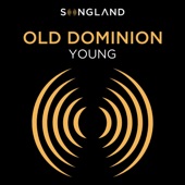 Young (From "Songland") artwork