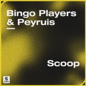 Scoop artwork