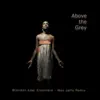 Above the Grey (Max Jaffe Remix) - Single album lyrics, reviews, download