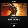 Indestructible - Single