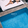 Want It - Single