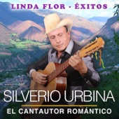 Linda Flor: Éxitos artwork