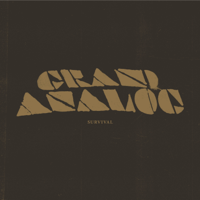 Grand Analog - Quiet Life (feat. Steven Mulcare) artwork