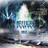 Deluge artwork