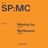 Missing You / Big Request - Single