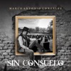 Marco Antonio Gonzalez Venegas - Sin Consuelo