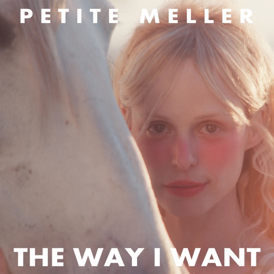 Cover artwork for The Way I Want