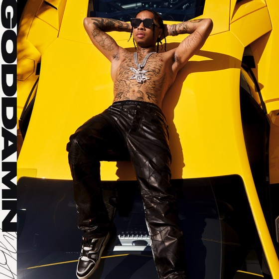 Cover artwork for Goddamn