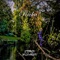 Rivka - Stephen Williamson lyrics