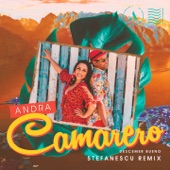 Camarero (Stefanescu Remix) artwork