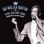 Big Walter Horton - Hard-Hearted Woman