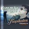 Lo Que Me Hizo Usted - Single
