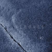 Fleuves - #2 artwork