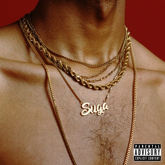 Cover artwork for Play Too Much