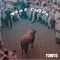 Fibonacci Sequins - Torito lyrics