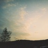Flora - Single