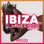 Ibiza Summer 2019 Collection, Vol. 6 artwork