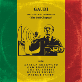 100 Years of Theremin (The Dub Chapter) - Gaudi