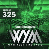 Wake Your Mind Radio 325 artwork