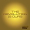 The Revolution Is Ours - Radek Wade lyrics