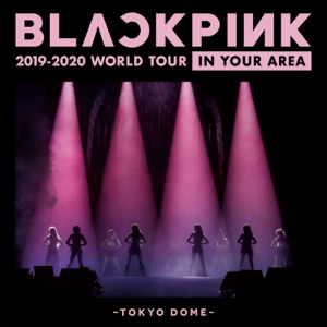 BLACKPINK DDU-DU DDU-DU