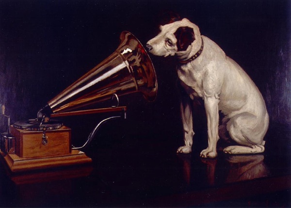 Nobody Knows You're A Dog cover