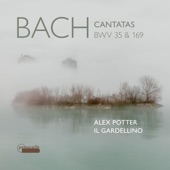 Toccata, Adagio and Fugue in C Major, BWV 564: II. Adagio artwork