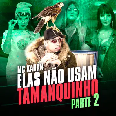 Elas Não Usam Tamanquinho, Pt. 2 - Single - MC Kauan