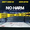 Stream & download No Harm - Single