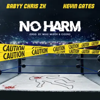 No Harm - Single by Babyy Chris 2K & Kevin Gates album reviews, ratings, credits