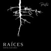 Raices Pistas