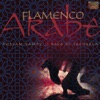 Flamenco Arabe