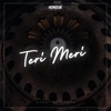 Teri Meri - Single