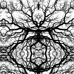 Fractales / Guitarra Rota - Single - Broken Bones Fractales / Guitarra Rota - Single - Broken Bones