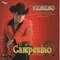 Quise - El Campesino Carlos Alvarado lyrics