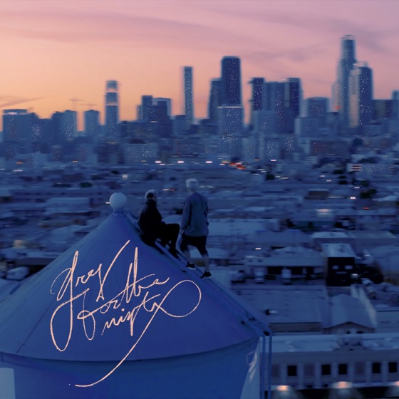 Cover artwork for For The Night