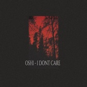 I Dont Care artwork